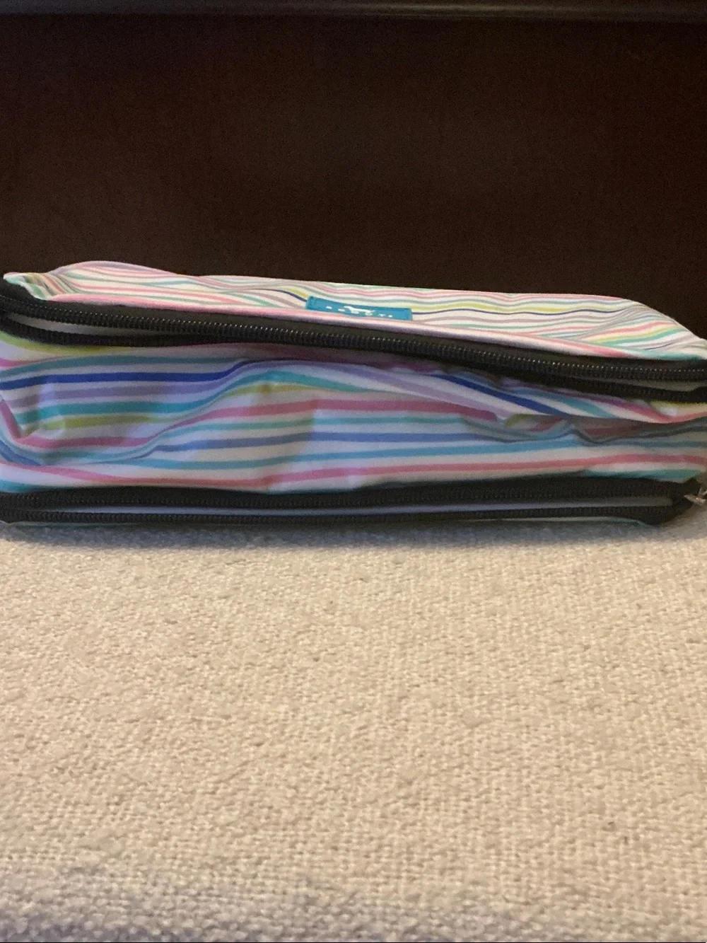Scout Striped Dual Storage Cosmetic Bag in Pastel Blue Pink Yellow Green